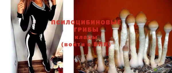амф Покров