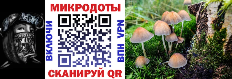 Псилоцибиновые грибы ЛСД  MEGA сайт  Бавлы 