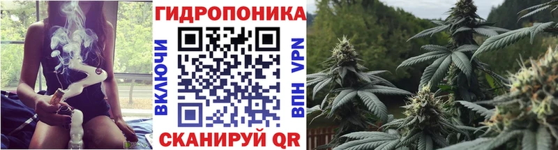Бошки марихуана White Widow Бавлы